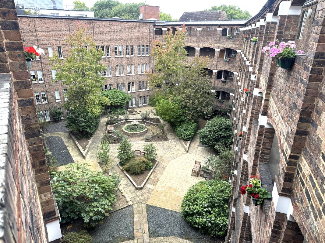 Image 11 of 12