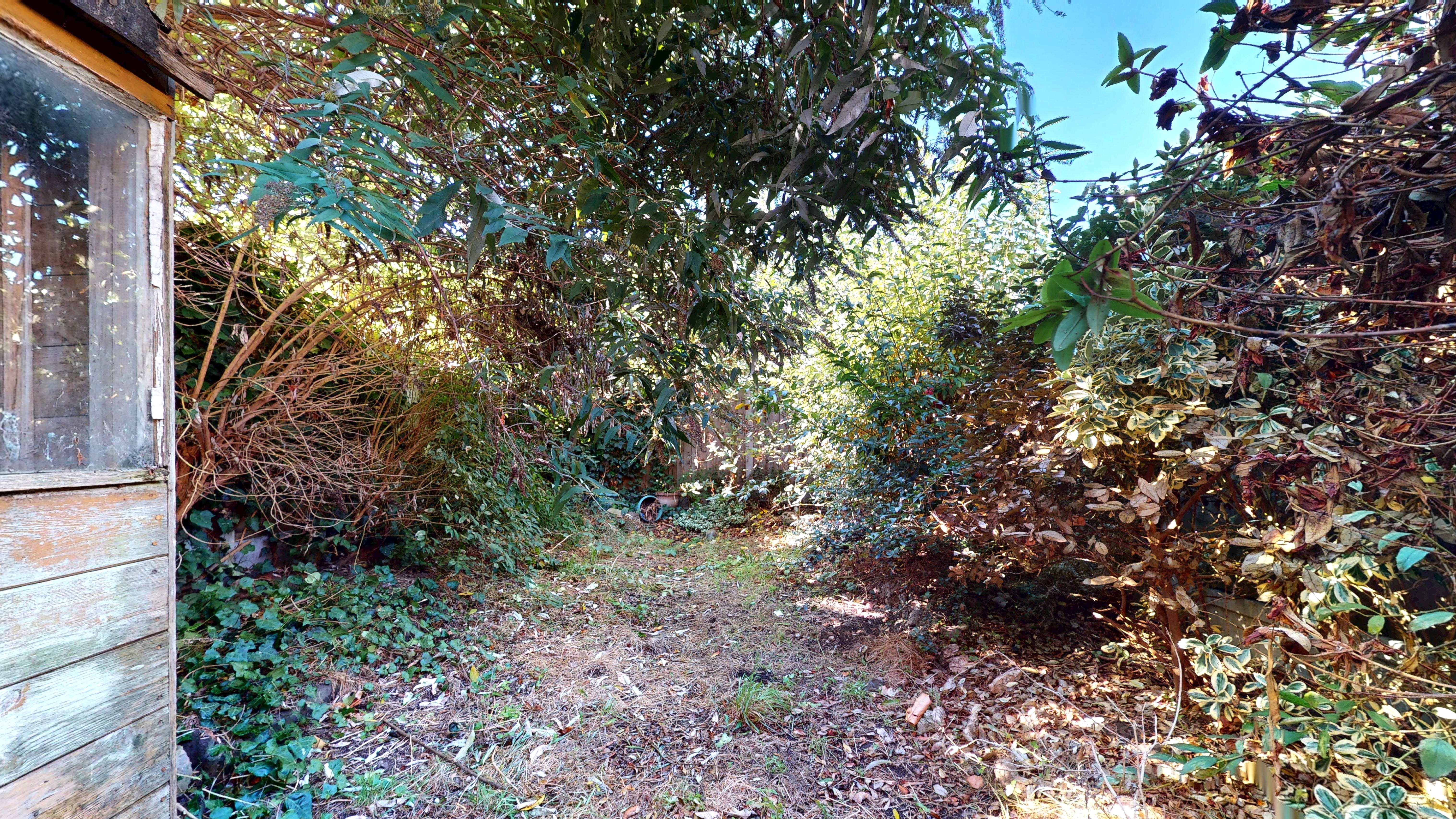 Image 13 of 13