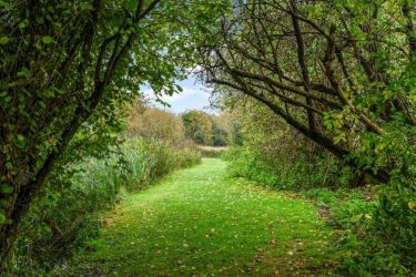 Willow Cottage, 5 Bath Road, Hungerford, Berkshire, RG17 0HE