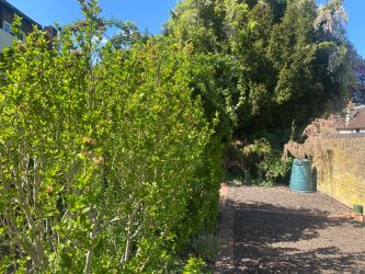 North Lodge, 21 North Street, Carshalton, Surrey, SM5 2HW