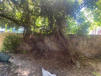 North Lodge, 21 North Street, Carshalton, Surrey, SM5 2HW