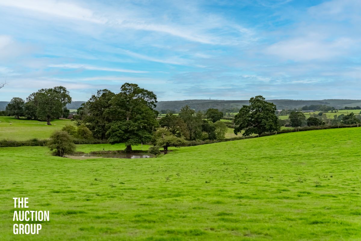 Lot Image