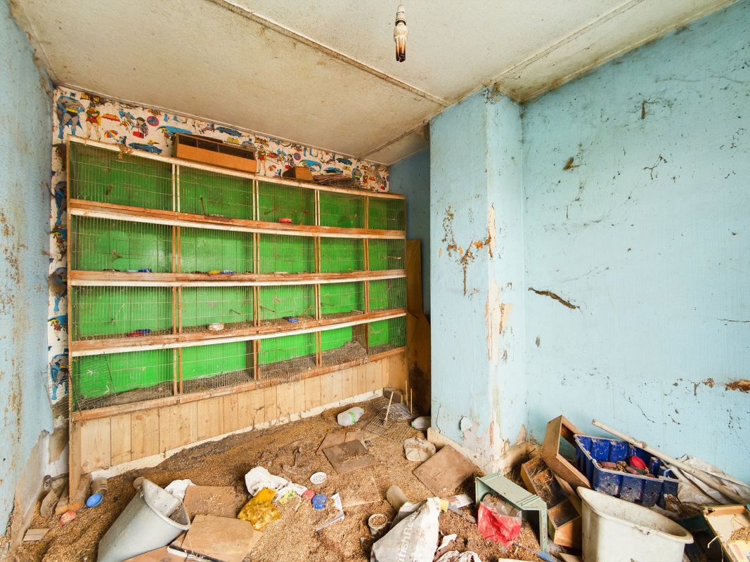 Lot Image