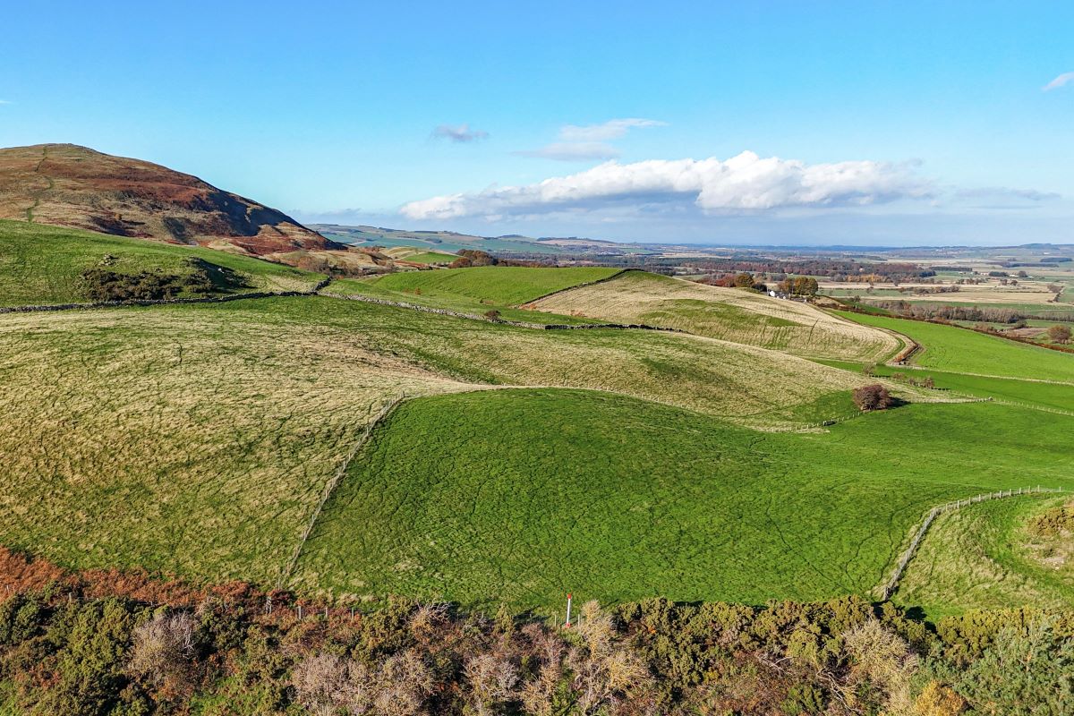 Tankerville Arms Hotel, 20-22 Cottage Road, Wooler, Northumberland, NE71 6AD