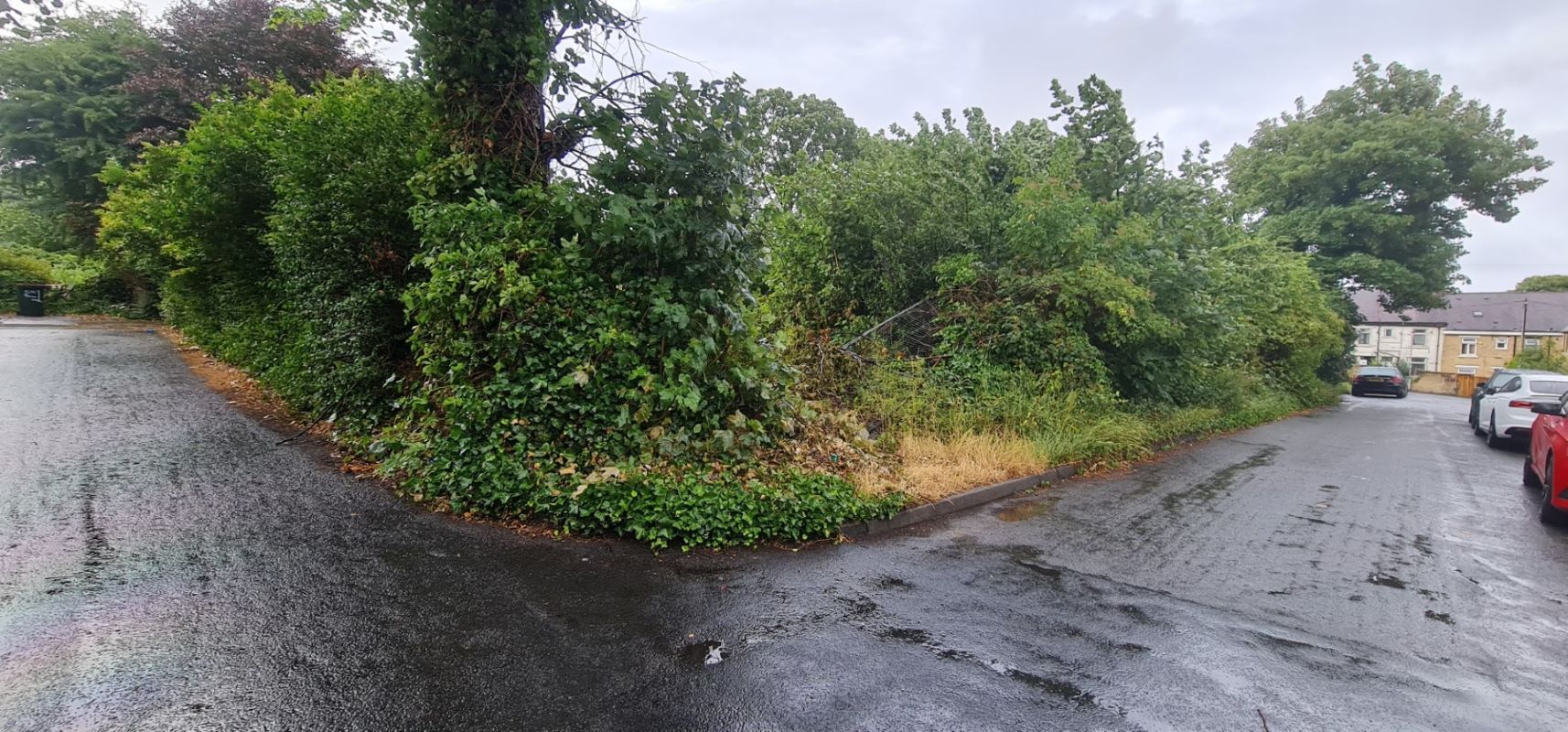 Primary Lot Photo