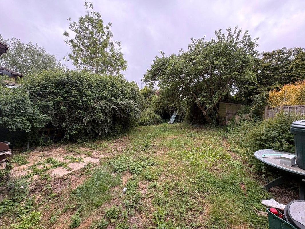 Lot Image