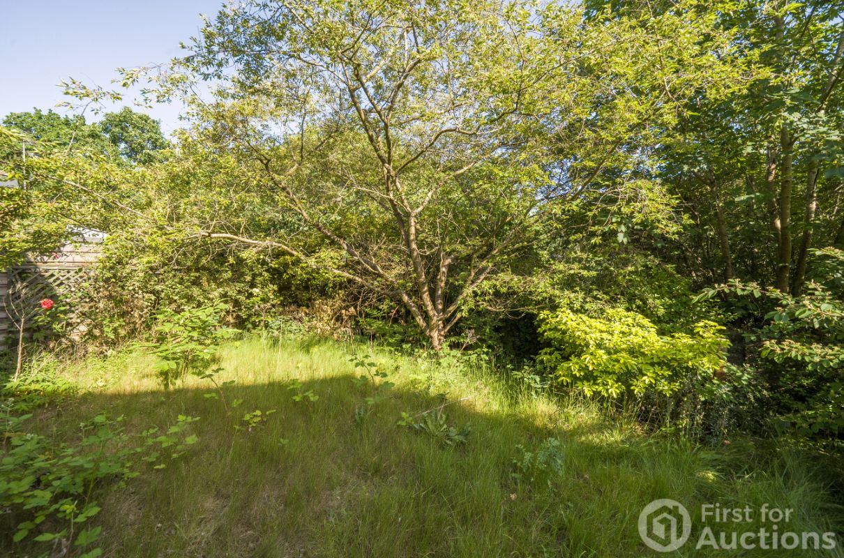 Lot Image