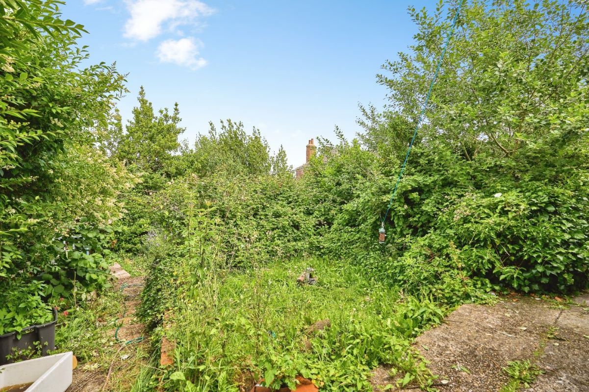 Lot Image