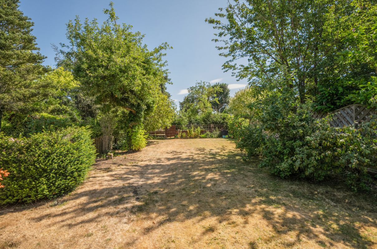 Image 2 of 19