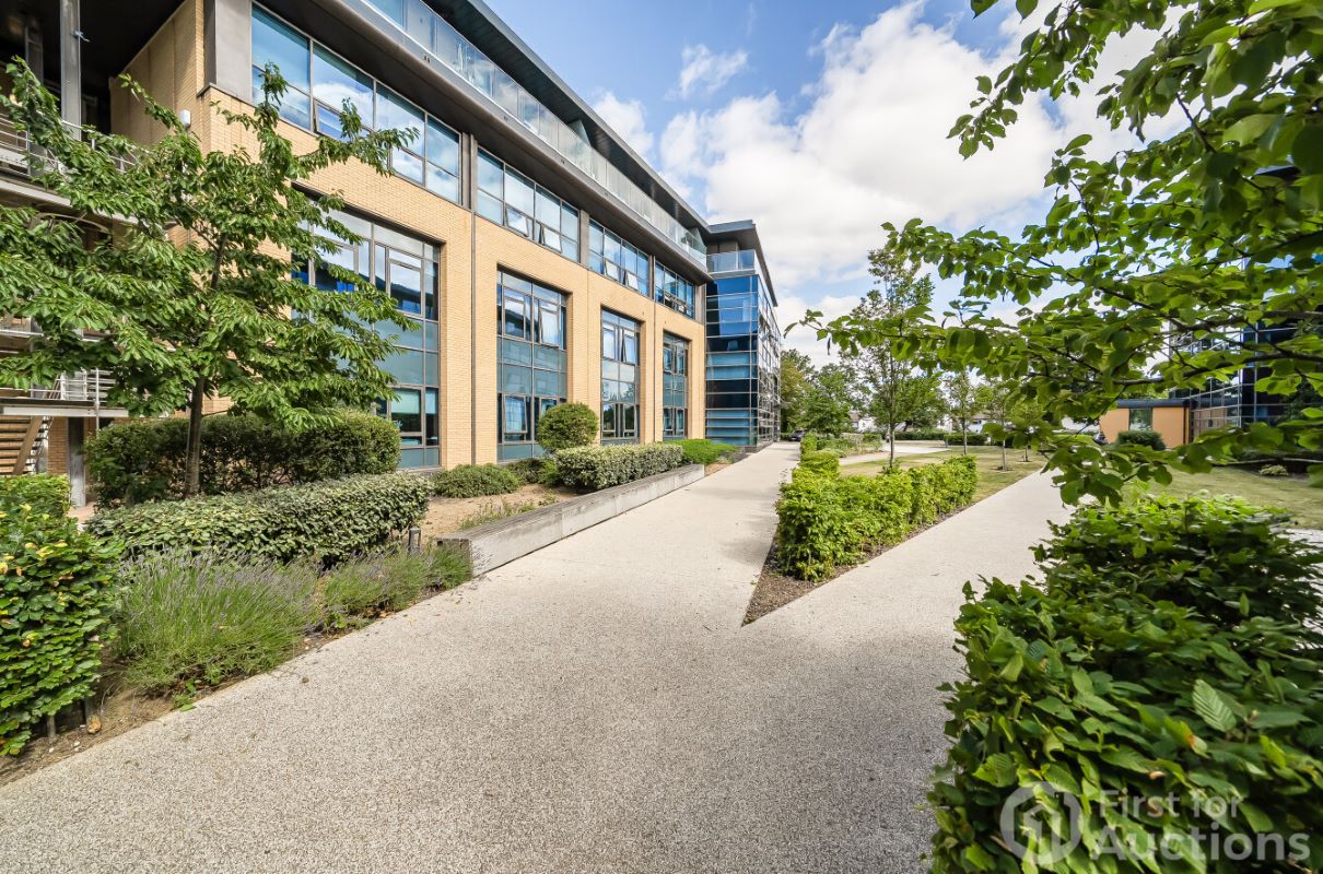 Image 9 of 12