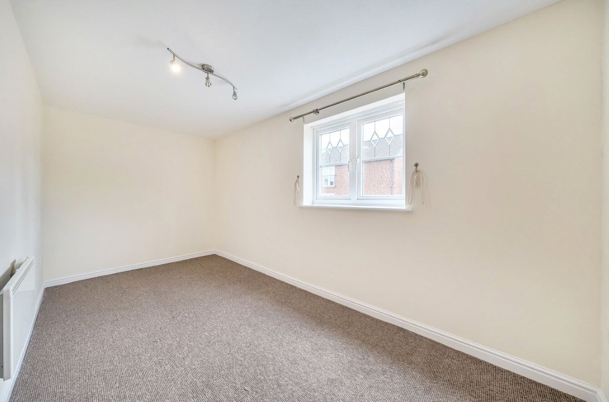 Image 7 of 12