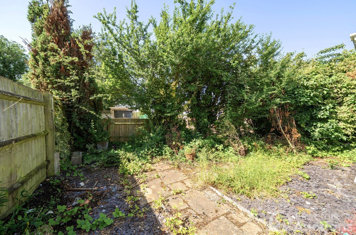 Image 10 of 17