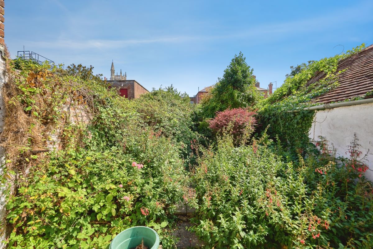 Image 13 of 16