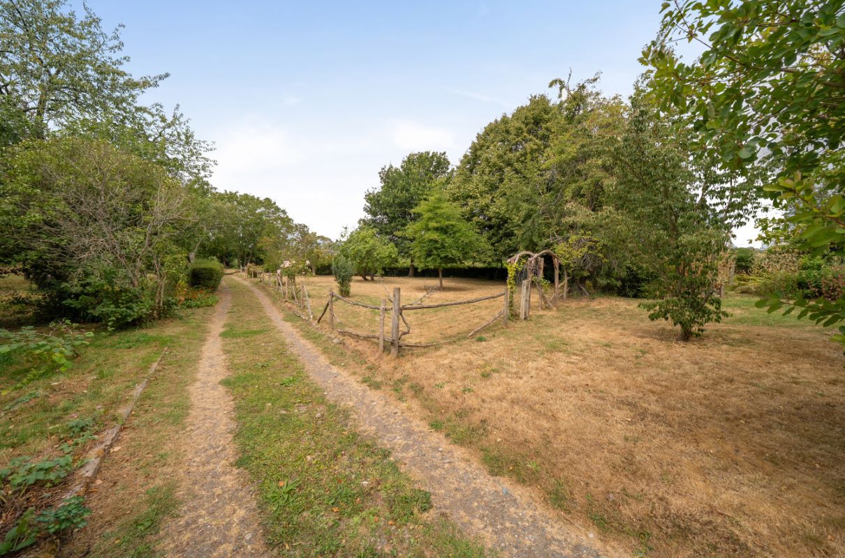 Image 21 of 24