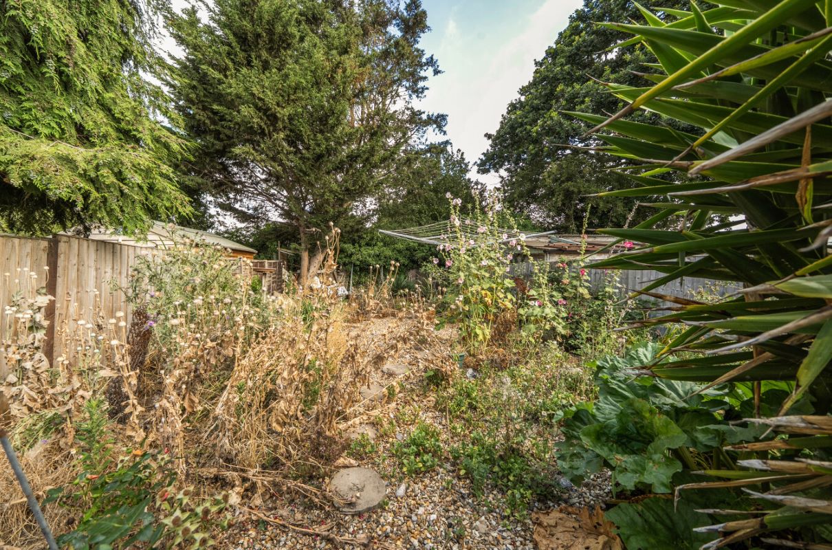 Image 15 of 22