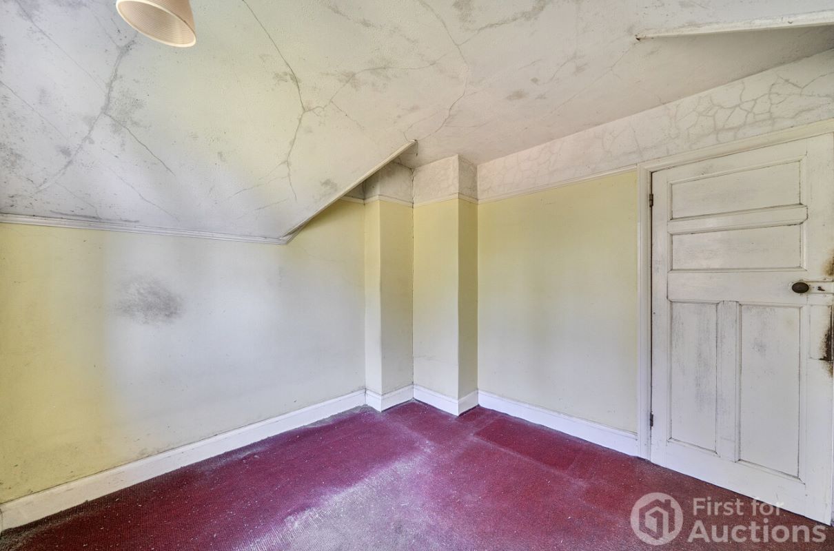 Image 8 of 20