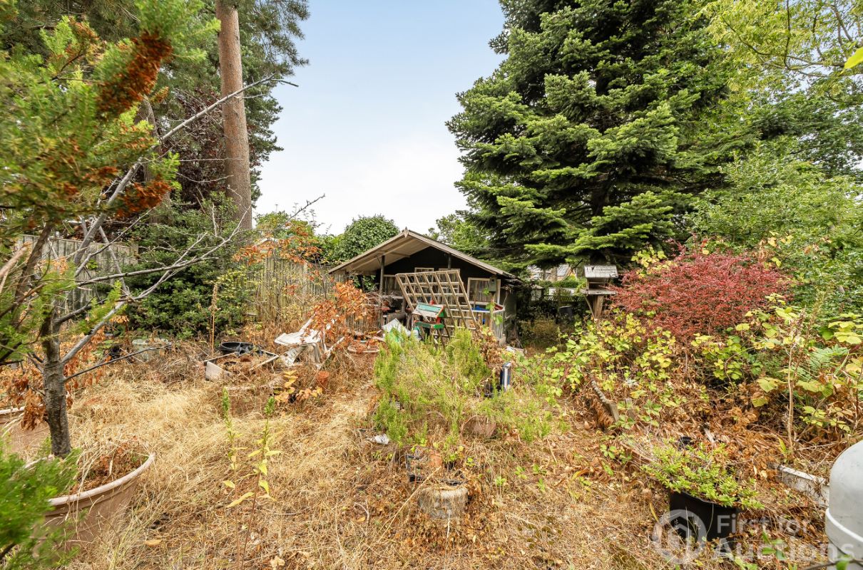 Image 17 of 21