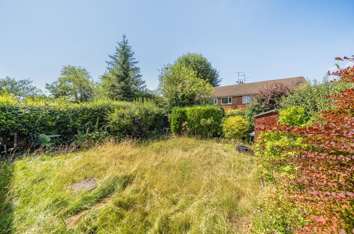 Image 8 of 13