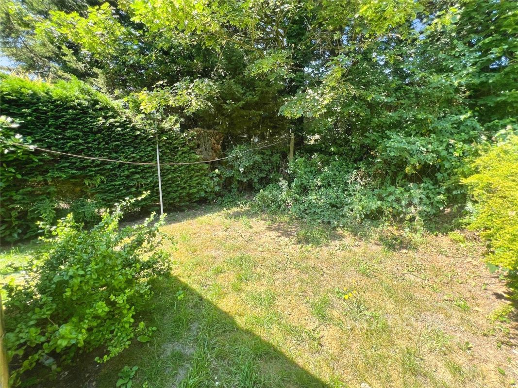 Image 12 of 15