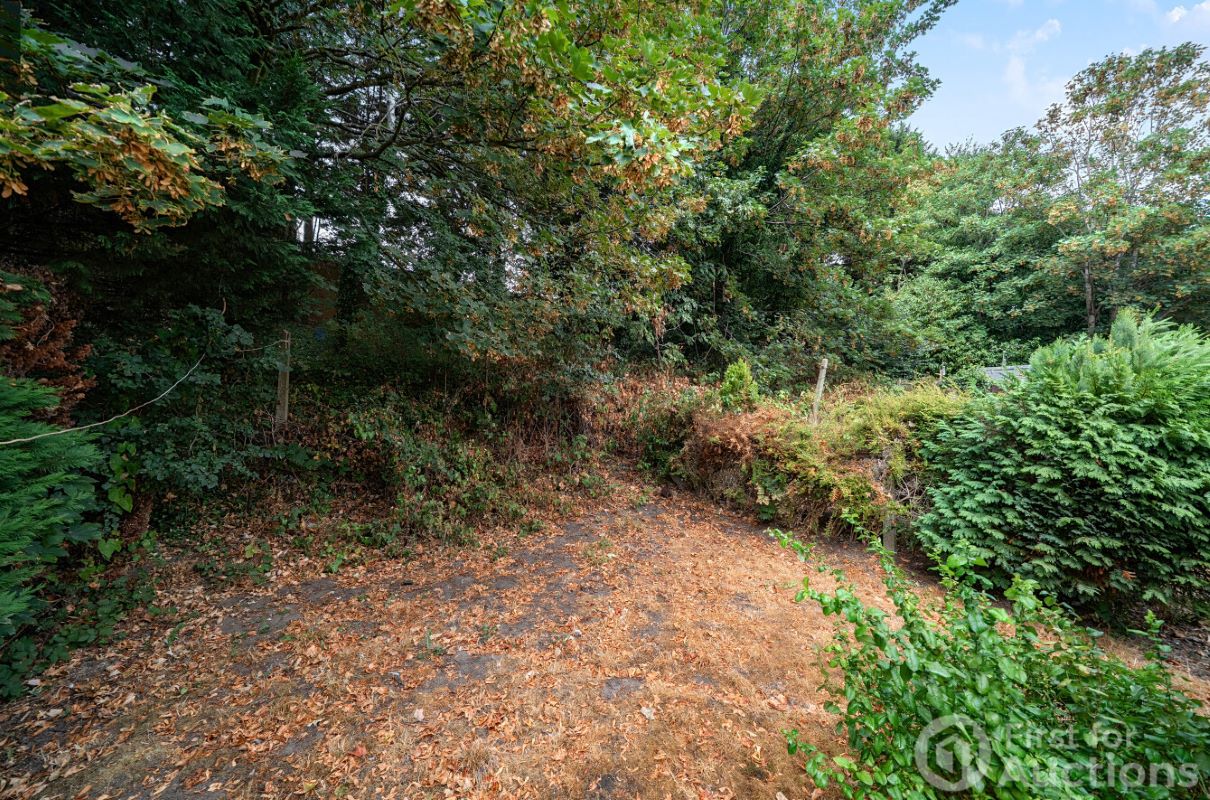 Image 11 of 16