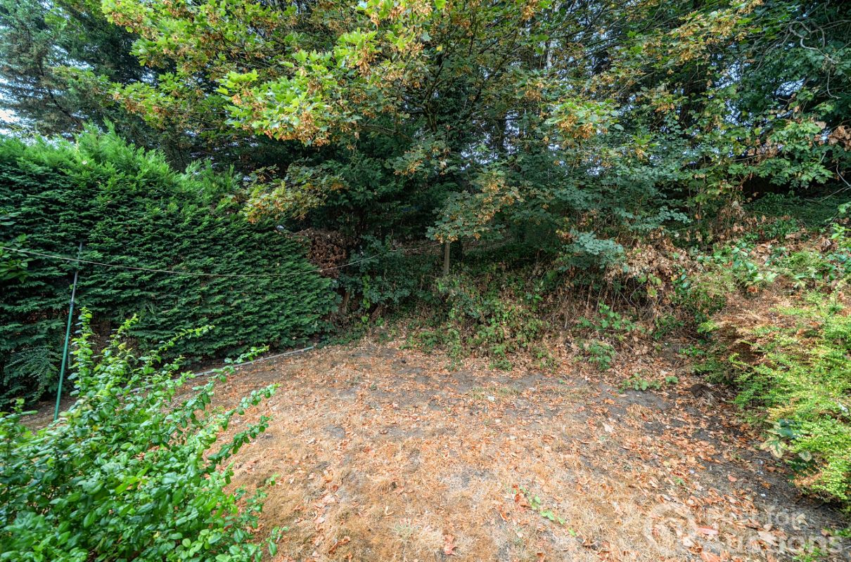 Image 12 of 16