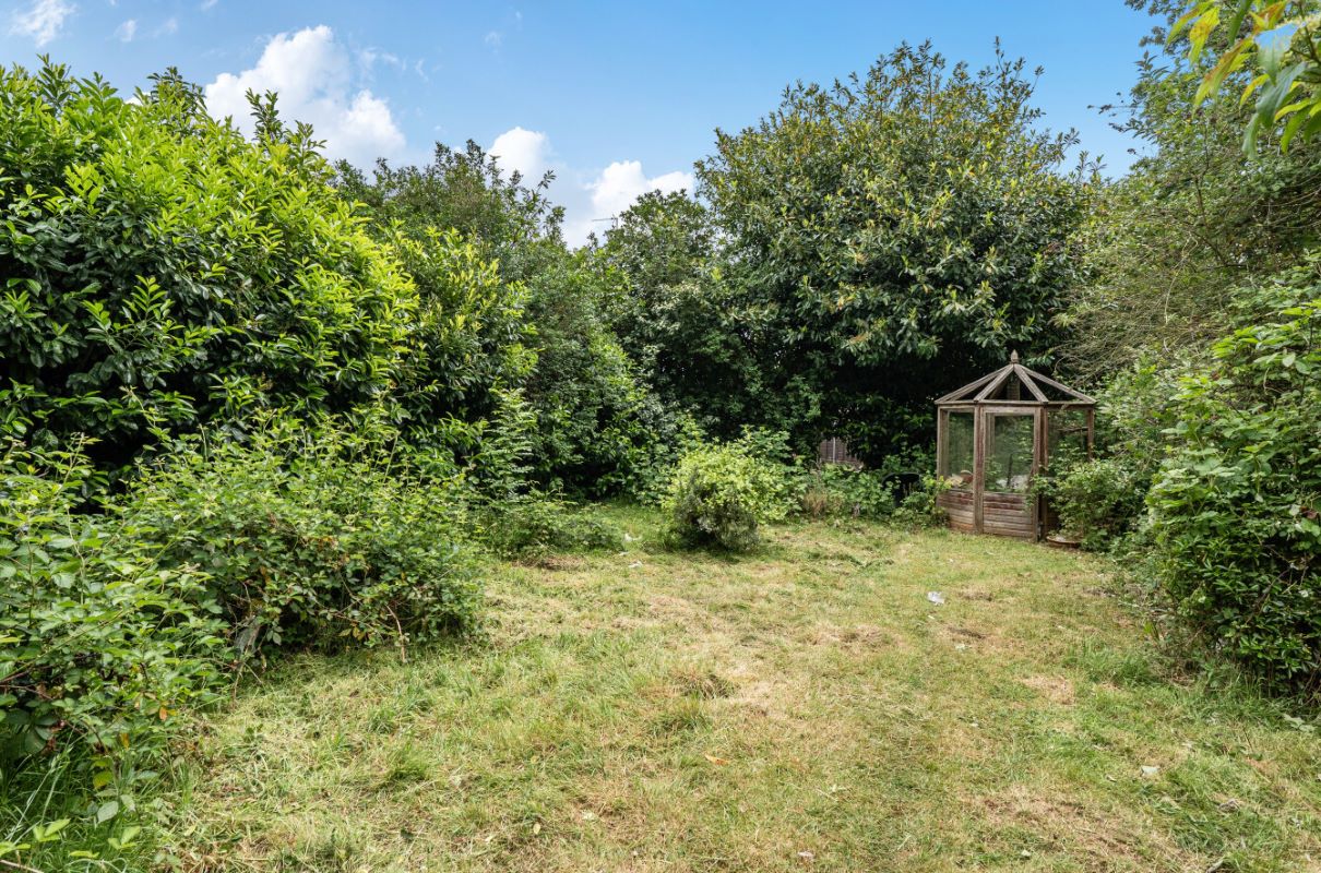 Image 12 of 15
