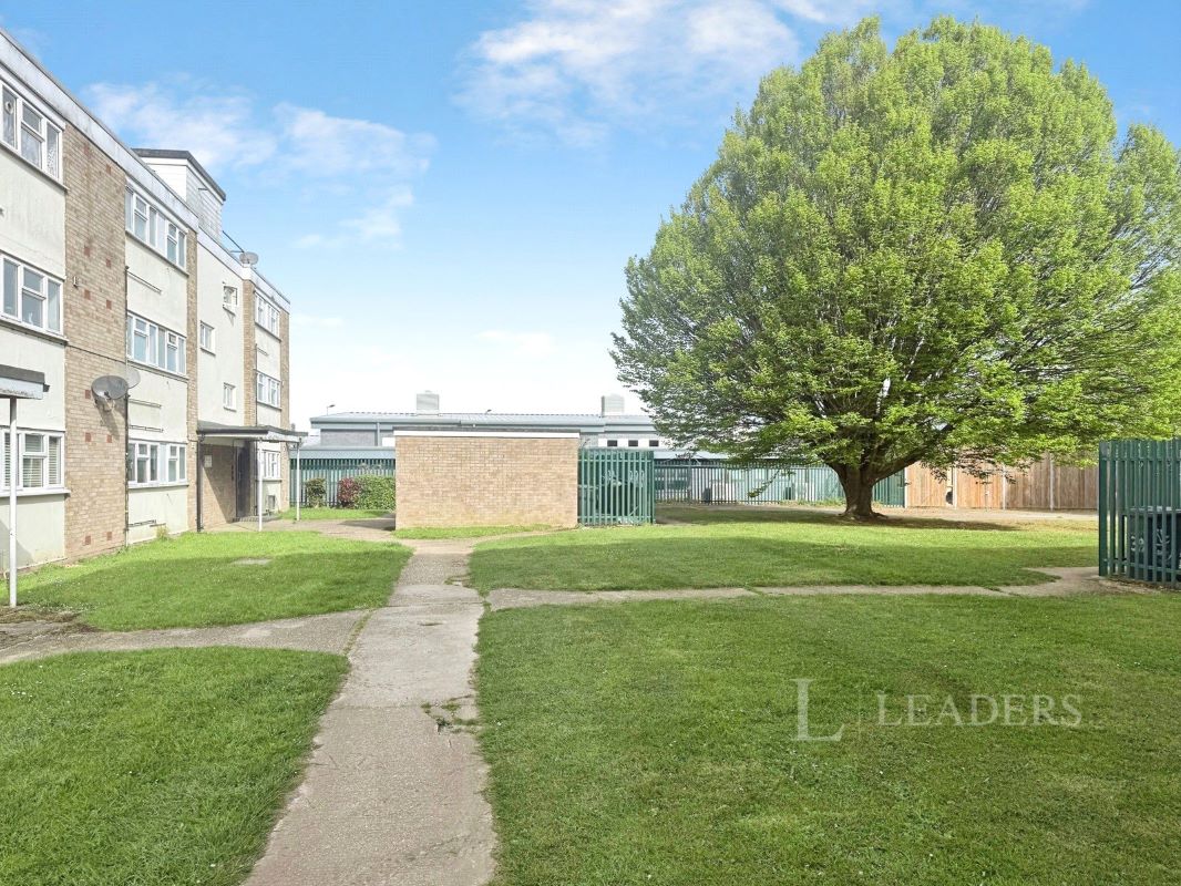 Image 8 of 10
