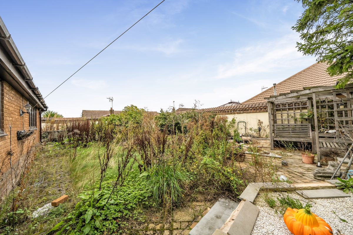 Image 17 of 24