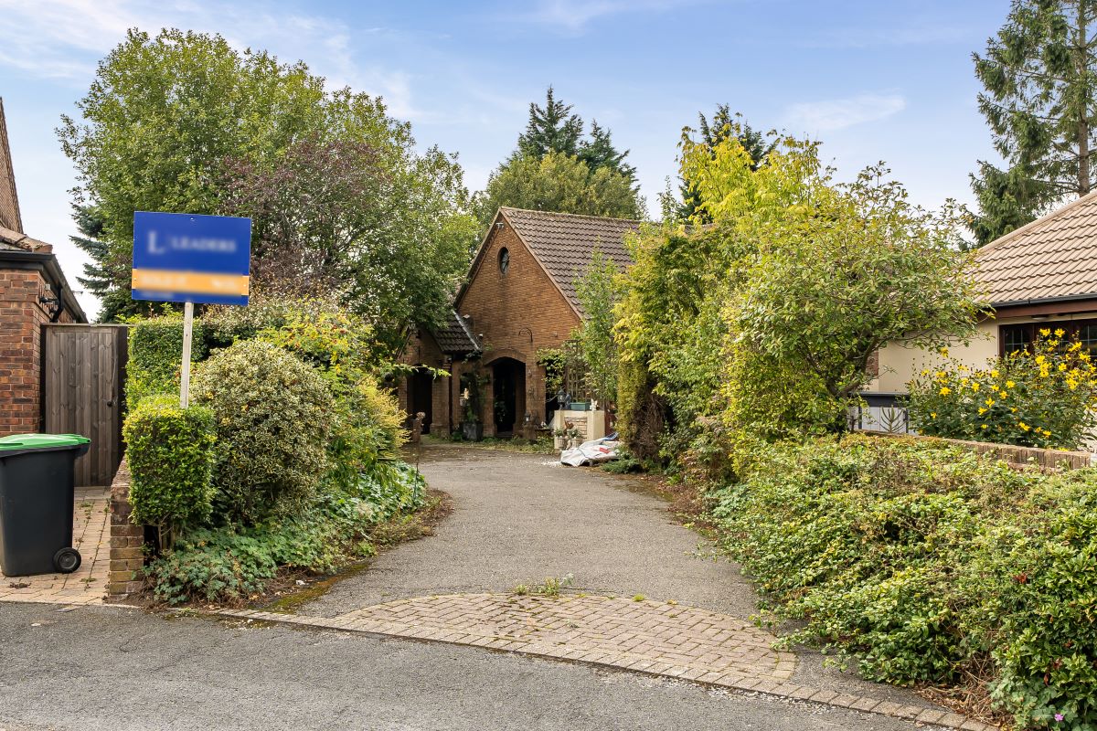 Image 19 of 24