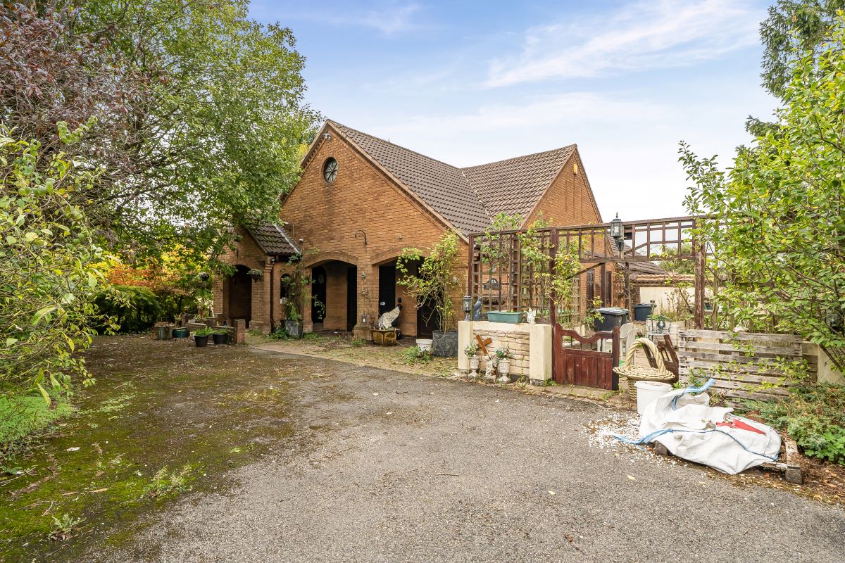 Image 20 of 24
