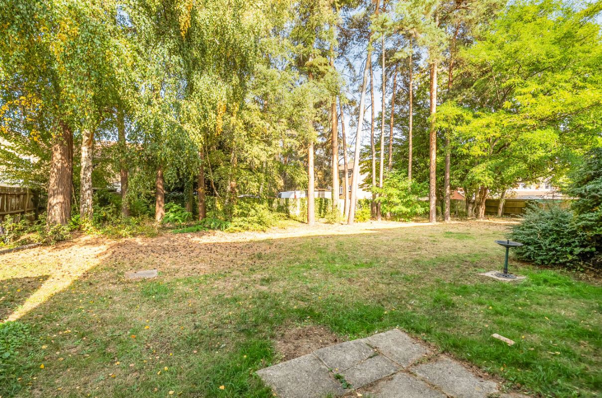 Image 8 of 11