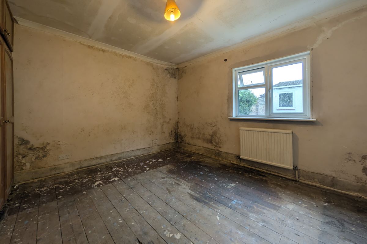 Image 6 of 12