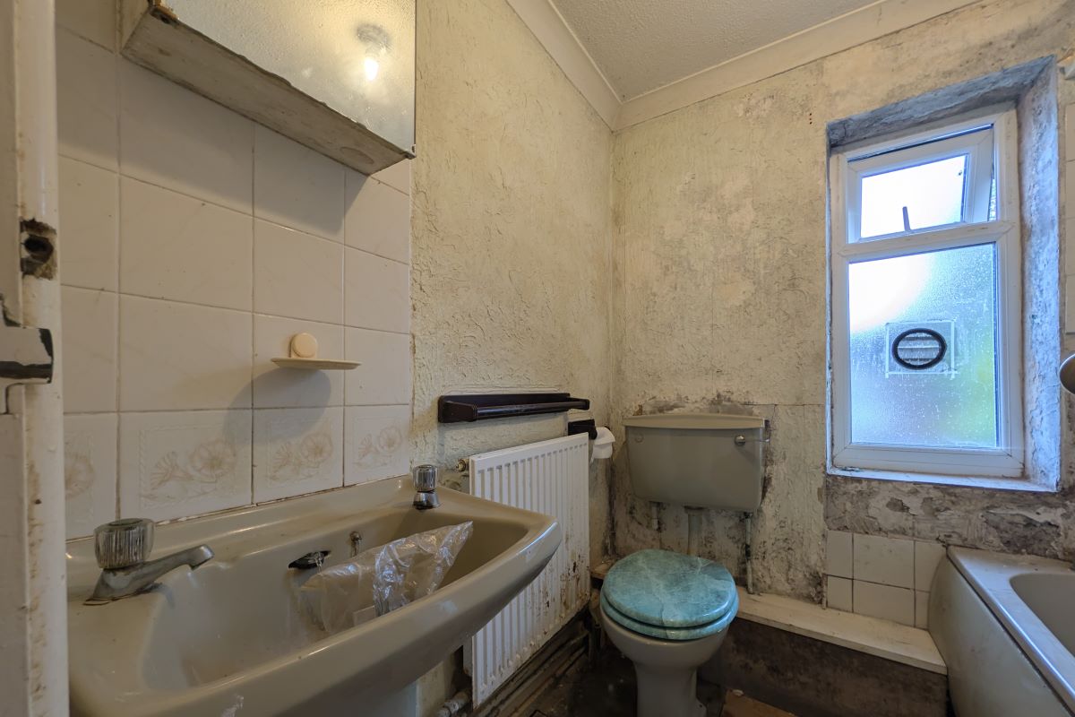 Image 10 of 12