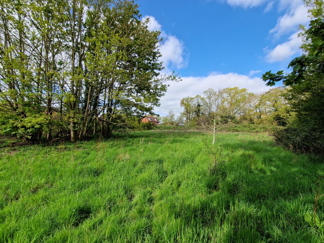 Lot Image