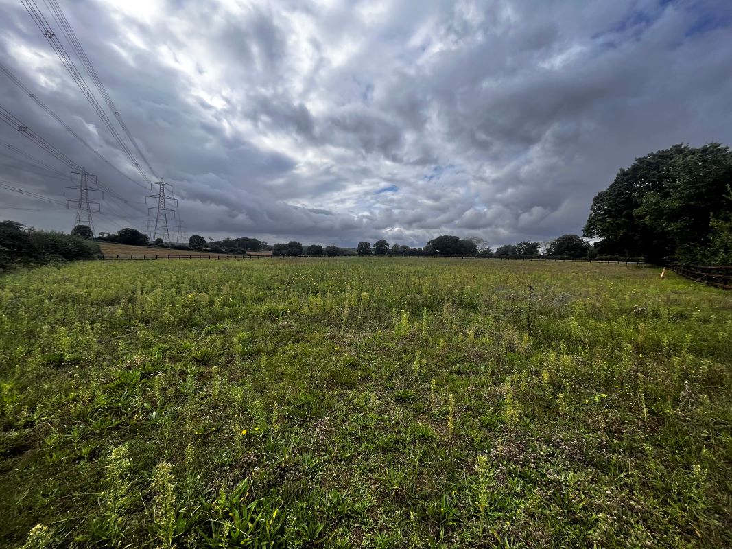 Primary Lot Photo