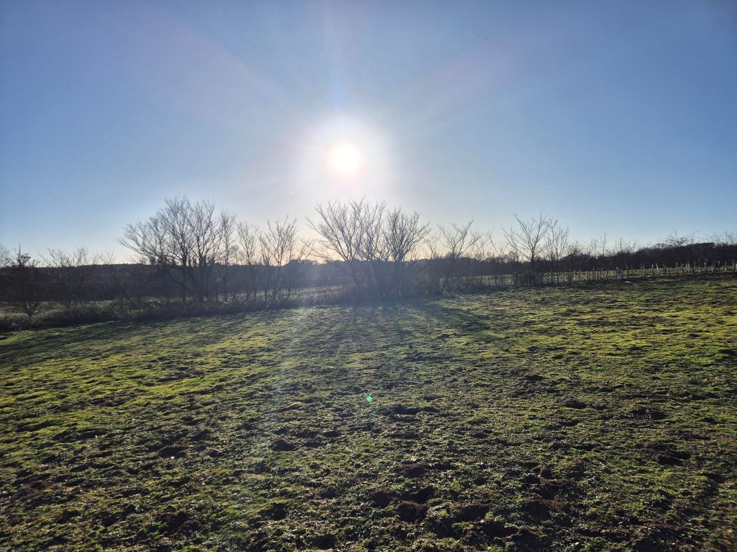 Land Adjoining Brock Lane, Martlesham, Ipswich, Suffolk, IP13 6LL