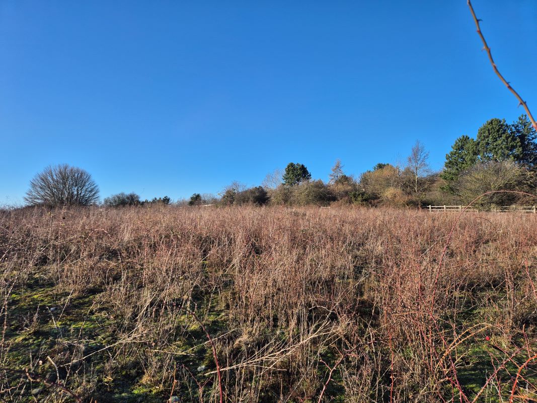 Land Adjoining Brock Lane, Martlesham, Ipswich, Suffolk, IP13 6LL
