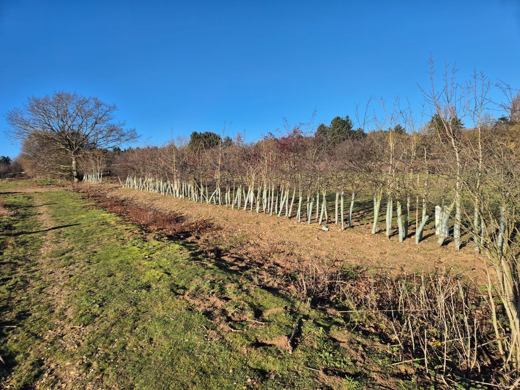 Land Adjoining Brock Lane, Martlesham, Ipswich, Suffolk, IP13 6LL