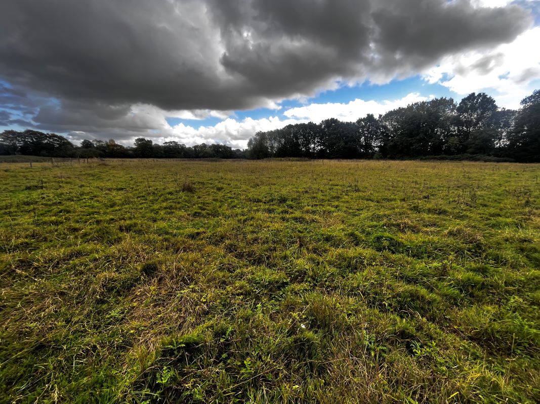 Land at Queen Street, Stradbroke, Eye, Suffolk, IP21 5HH