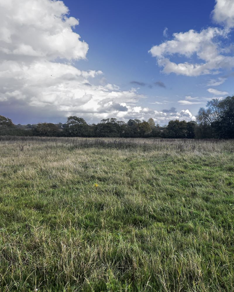 Land at Queen Street, Stradbroke, Eye, Suffolk, IP21 5HH