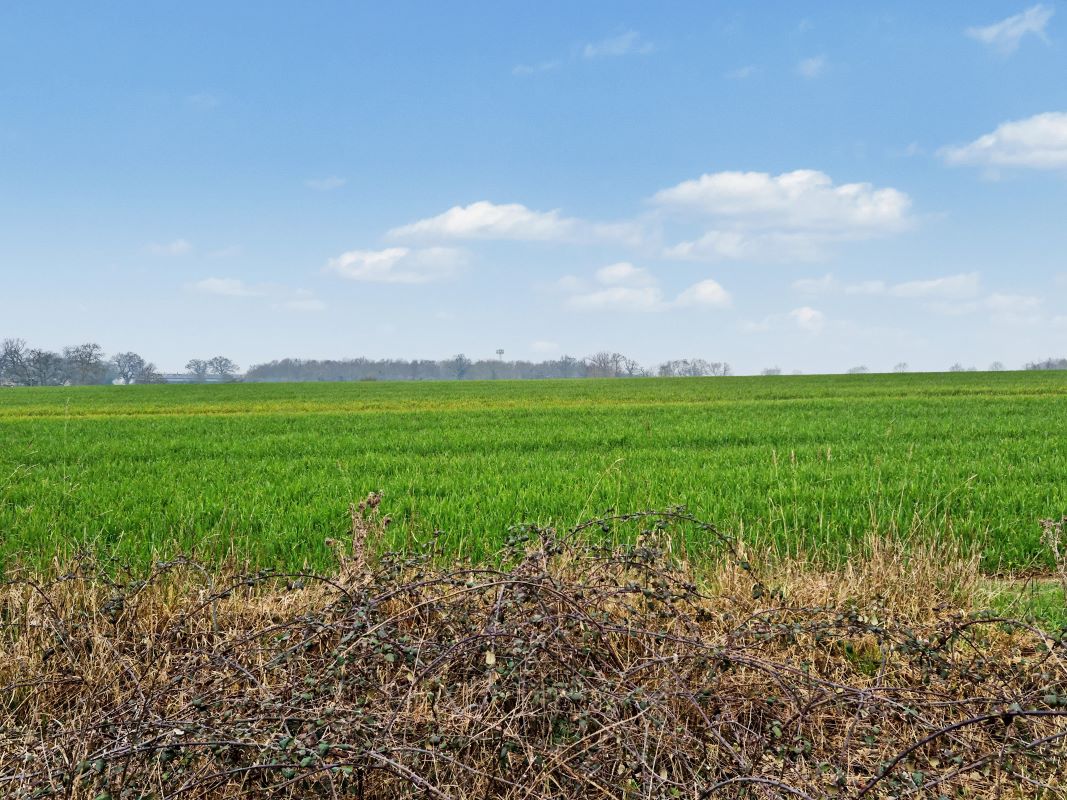 4 Bedfield Road, Earl Soham, Woodbridge, Suffolk, IP13 7SQ