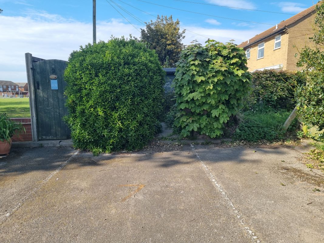 Lot Image