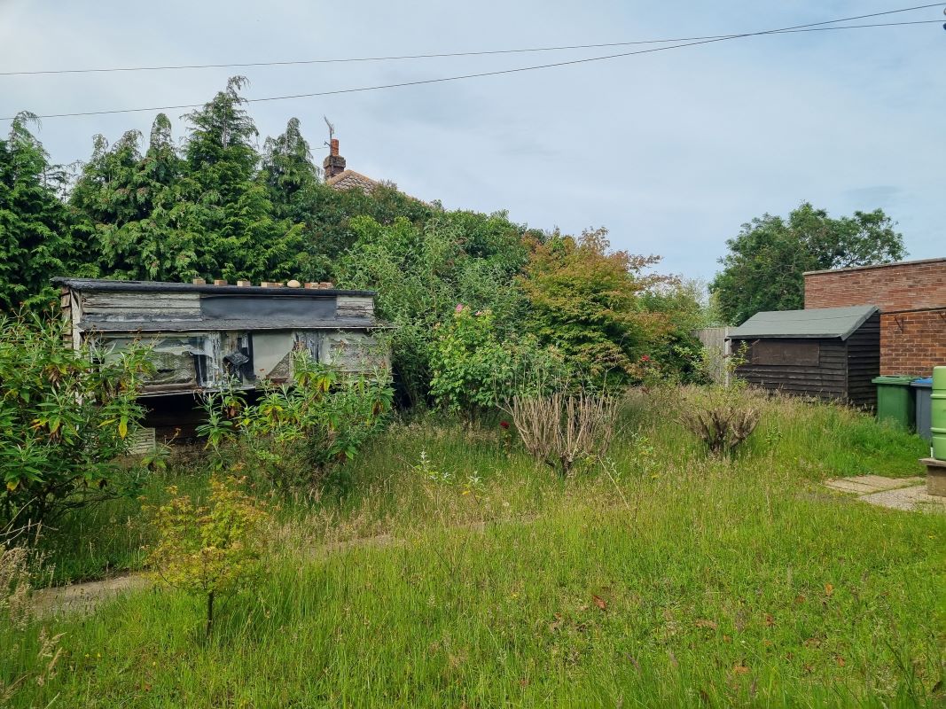 Lot Image