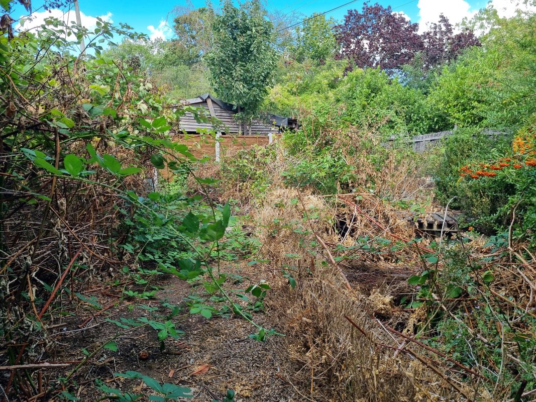 Primary Lot Photo