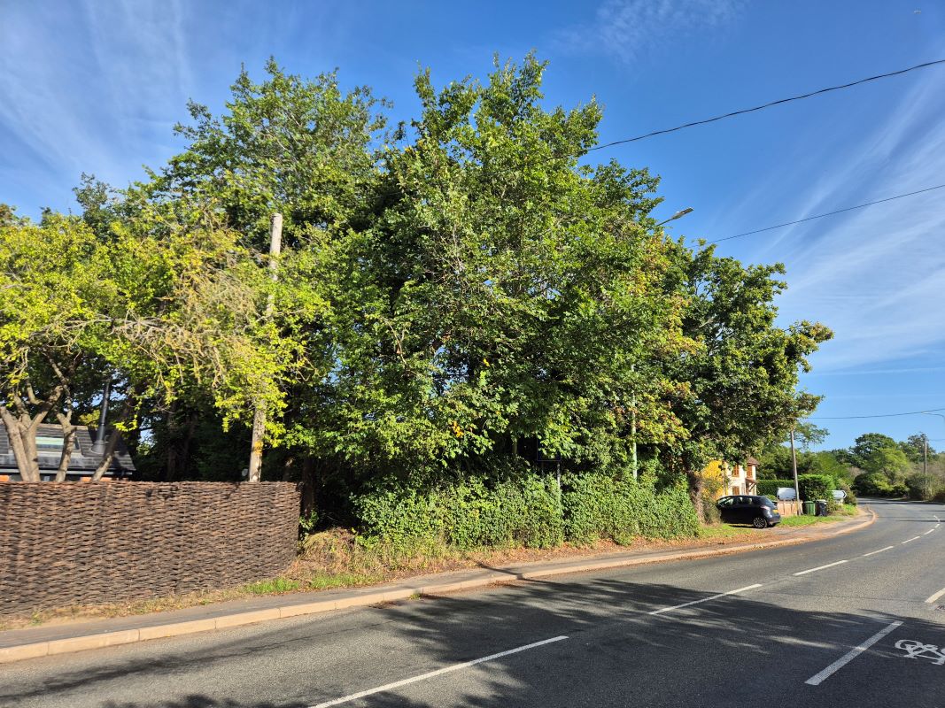 Lot Image