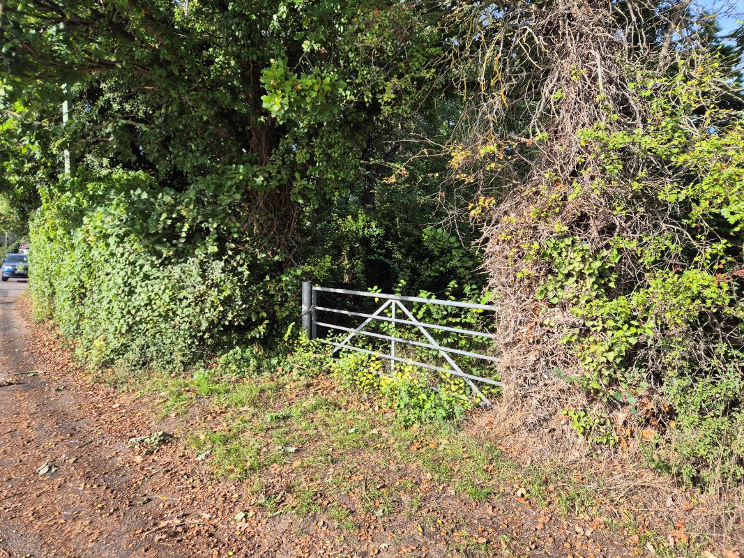 Lot Image