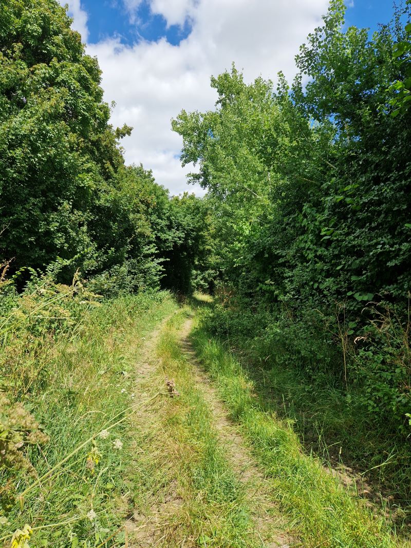 Lot Image
