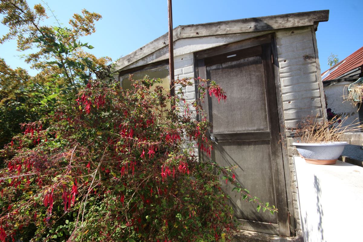 Lot Image