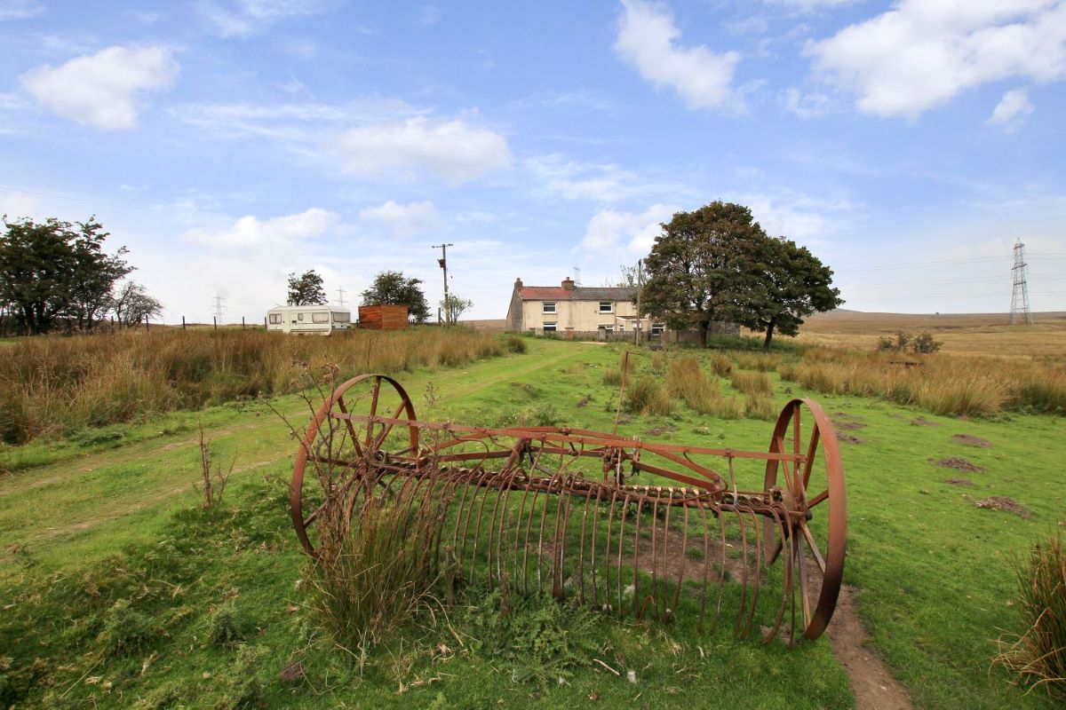 Lot Image