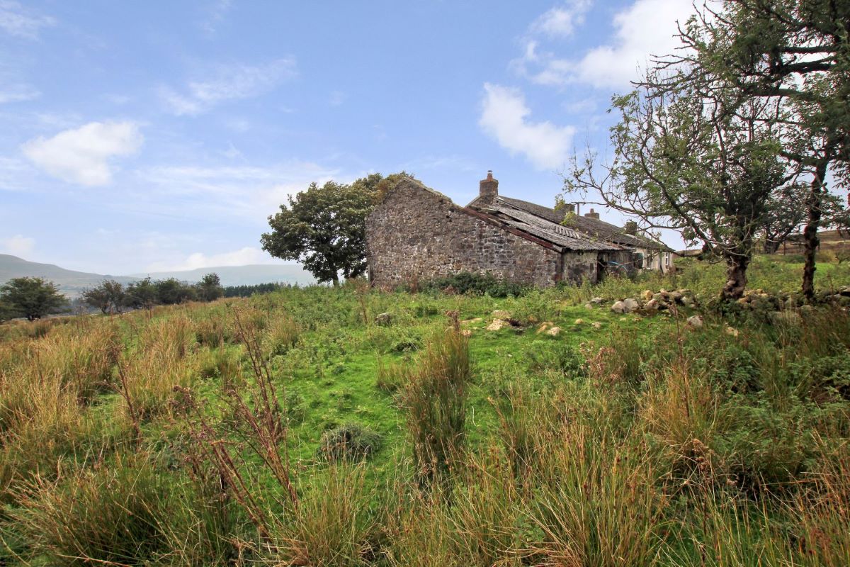 Lot Image